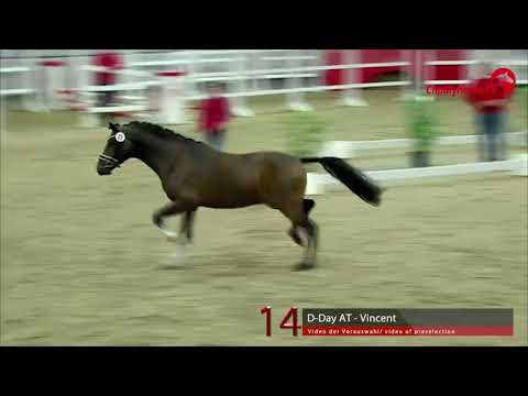 14 Junghengst v. D-Day AT - Vincent