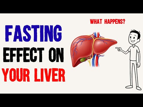 What Happens to Your Liver When You Do Intermittent Fasting? (Fasting Benefits)