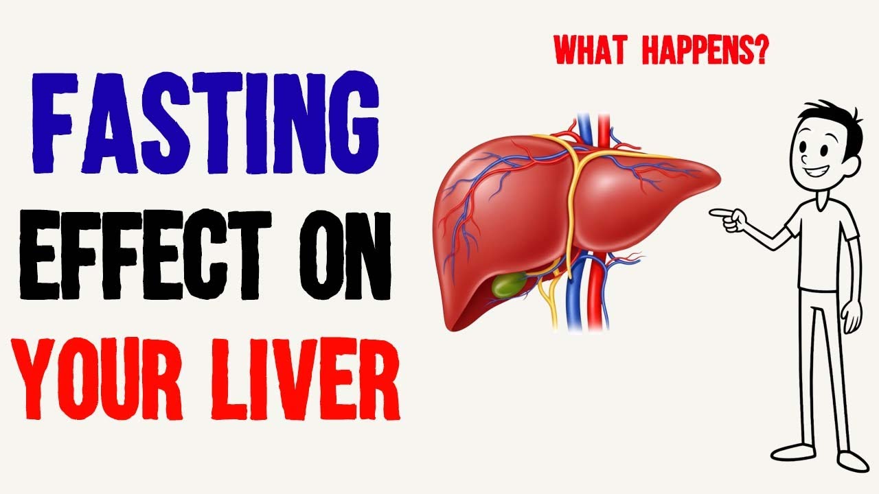 What Happens to Your Liver When You Do Intermittent Fasting? (Fasting Benefits)