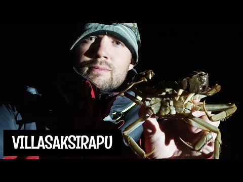 HAUKEA, UISTIMIA JA VILLASAKSIRAPU - TUULASTUS MERELLÄ - TARVITTAVAT VARUSTEET ESITTELYSSÄ