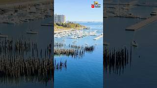 Majestic Princess Docked In Portland Maine