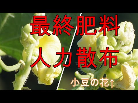 腐食性