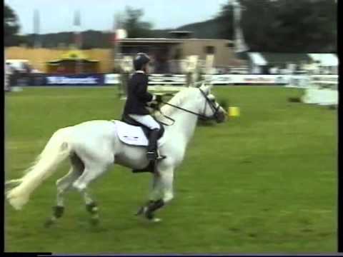 Dexter Leam Pondi e Filippo Bologni vincono la prima prova dei Campionati Europei pony 2007