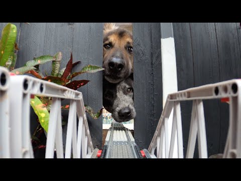 2021 LEGO Train Set Fails Part 1 of 3