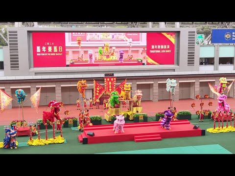 醒獅表演 @ 沙田馬場馬年新春綜合匯演2026.02.19