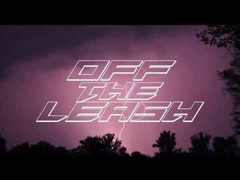 Off The Leash ft Lapse [prod. N1KT0]
