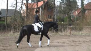 Vídeo de Blackstage