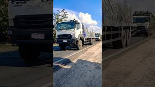 Download lagu Ger Ra Minggir Tabrak #shorts #trukoleng #truck #truk #trukmania mp3