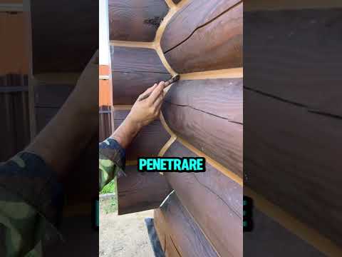 Questo cambiamento rende le vecchie case in legno calde e incredibilmente accoglienti #talent