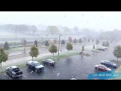 First Snowfall of Minnesota - Winter 2020-21