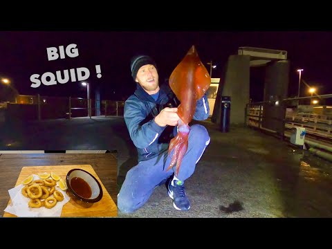 BIG SQUID - Tempura Battered Squid Rings , Squid Catch Clean Cook !