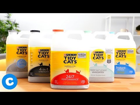 YouTube video about: Why is there a shortage of tidy cat cat litter?