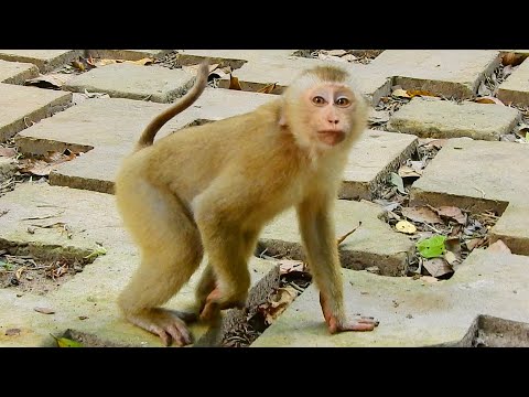 Ricky welcomes us by his mouth all point, he is a happy boy & kinda sweet