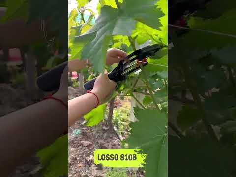 Степлер садовый для подвязки винограда LOSSO SC-8108, красная лента 10 шт, скобы - фото 1 - id-p1930150756