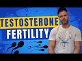 Having baby on testosterone - fertility on/after cycle - 4 factors