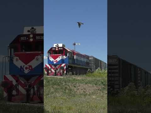 TREN DE NCA POR VILLA DEL ROSARIO