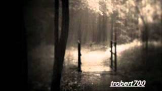 Julian und Roman Wasserfuhr -Fools Paradise.