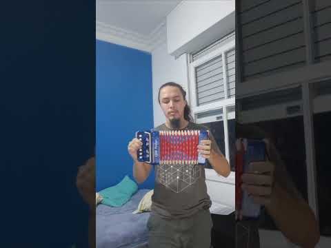 Drunken Sailer - Irish Rovers (melodeon cover)