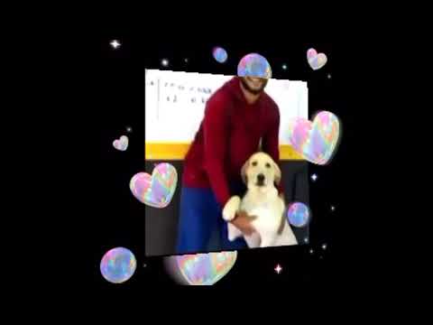 Anuradha Perara playing with his dog | Anuradha Perera Physics | Jeewithayata physics