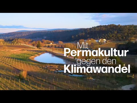 Permakultur und Wasserretention auf dem Delinat-Forschungsweingut Château Duvivier