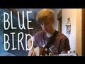 Tyler Nugent - Blue Bird (Original Song) 