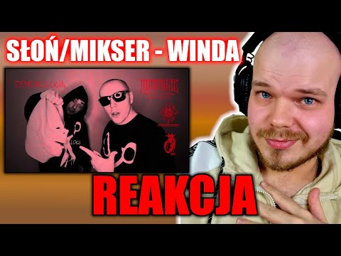 SŁOŃ/MIKSER - WINDA ( REAKCJA )