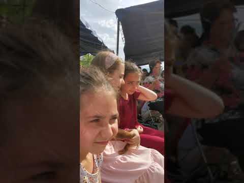 Laura Bretan- Ciresarii 2021