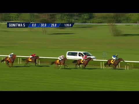 Gonitwa 5 - Nagroda Strzegomia (Specjalna) - (kat.B)