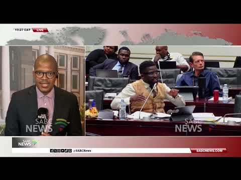 SAPS officers testify at Ad Hoc Committee