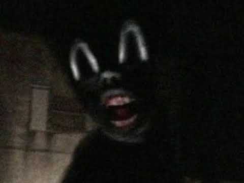 Cartoon cat theme song but it gets slower every time it gets cursed