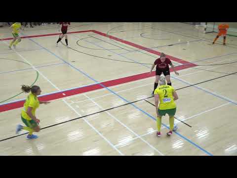 YIlves - Ilves FS Maalikooste  6.12.2023