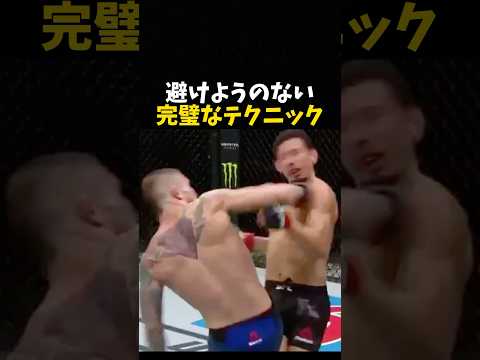 やられるしかない完璧なテクニック #格闘技 #rizin #ufc #mma