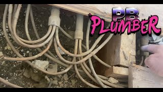 P B Plumber The...