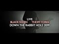 Thom Yorke - Black Swan (Live at Down The Rabbit Hole 2019)