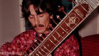 Fish On The Sand | George Harrison (Subtitulada en Español)