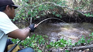 Download lagu Spot mancing ini adalah terminalnya ikan dirawa #SG-440 mp3