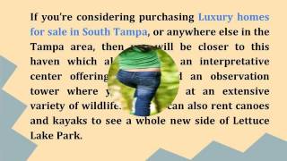 Top 6 Best Attractions Near South Tampa FL