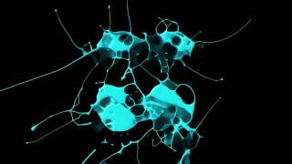 GoldFish - Fort Knox (Troydon&#39;s Gold Bullion Bump)