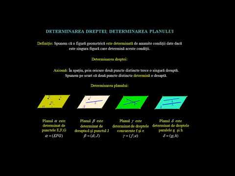Determinarea planului şi a dreptei | Lectii-Virtuale.ro