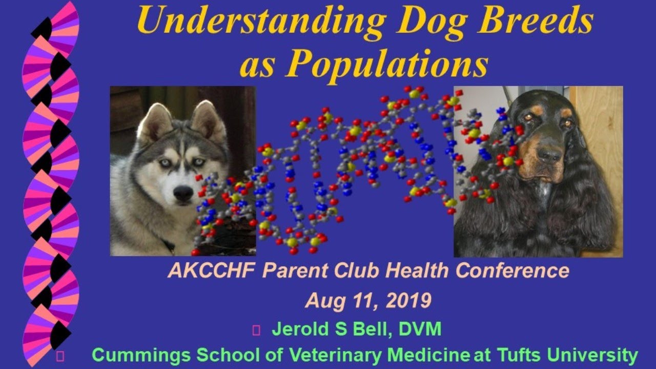 Understanding Dog Breeds as Populations