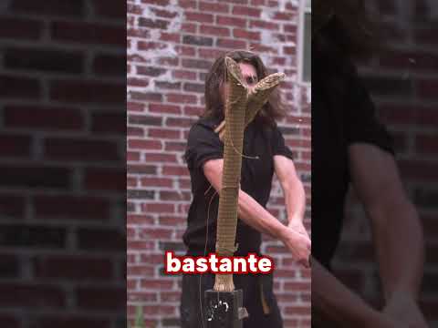 MACHETE VS. KATANA: El Duelo Más Esperado Ha Llegado