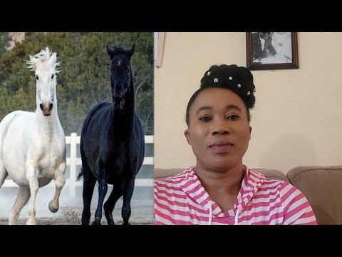 le ou reve cheval  or 🐎 🐴 🎠 horse dapres la bib men sa l vle di