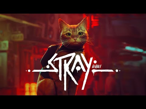 Trailer de Stray
