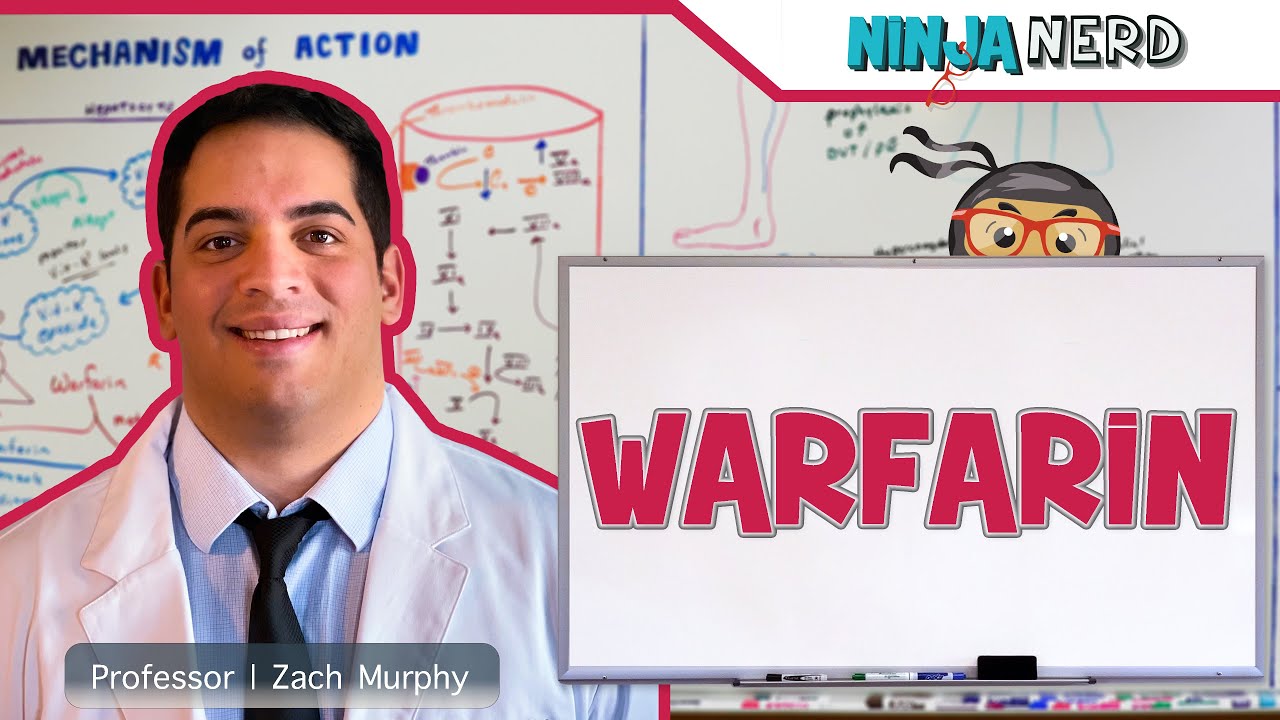 Warfarin | Mechanism of Action, Indications, Adverse Reactions, Contraindications