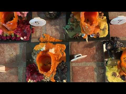 Candle Wax Reading for New Moon Hearth Service - Candle Magic Class with Madame Pamita