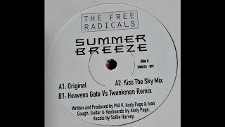 The Free Radicals - Summer Breeze (Oceane vs. Twonkman Remix) (Trance 1997)