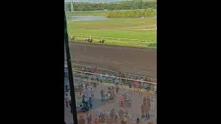 Horse Races