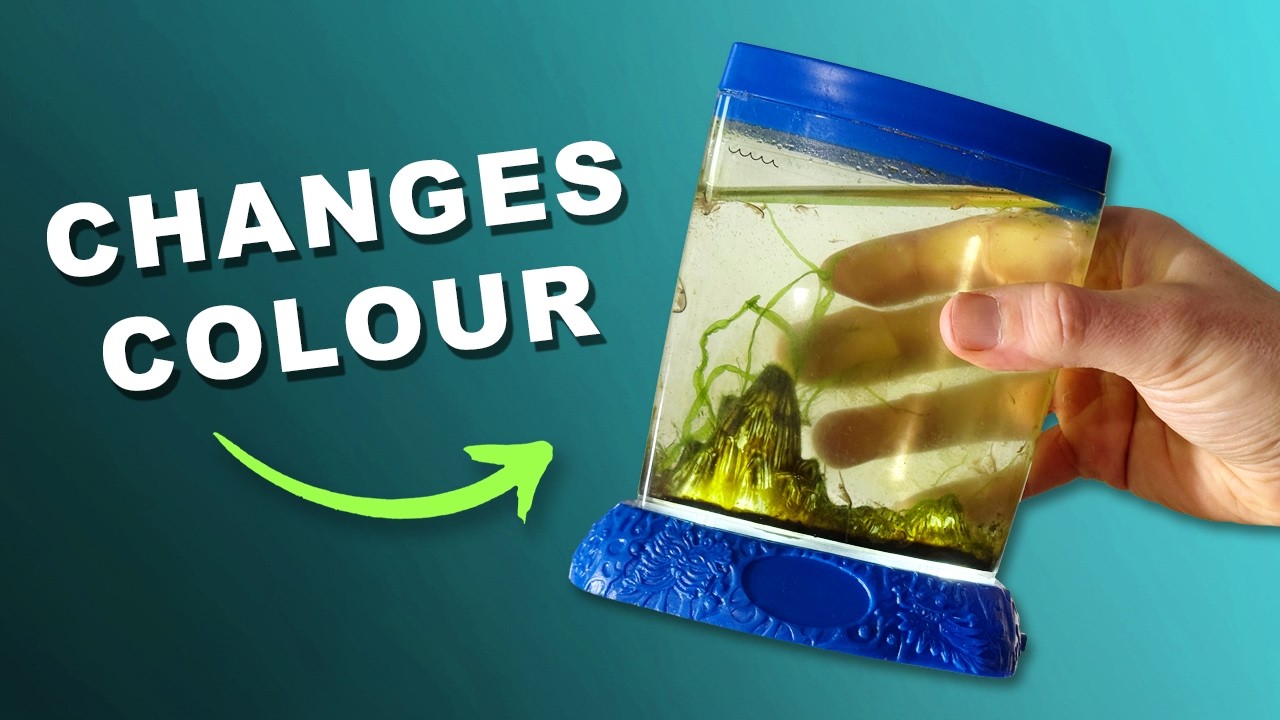 Aqua Dragons Color Changing Aquarium | Unboxing & Review