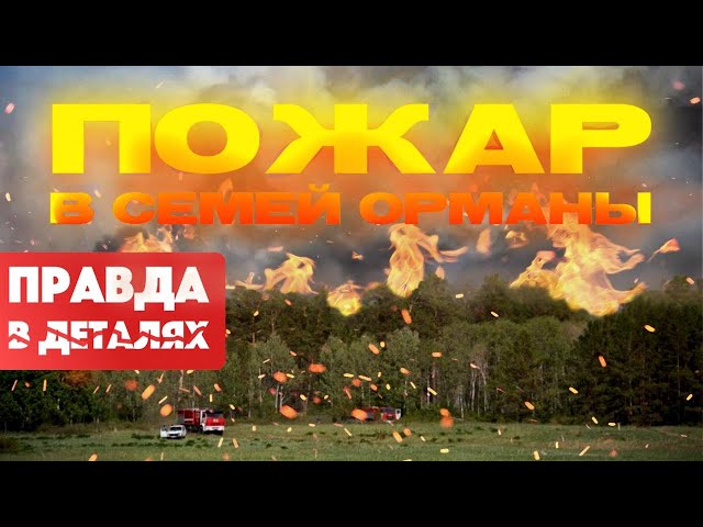 Семей орманы: Трагедия, которую можно было предотвратить