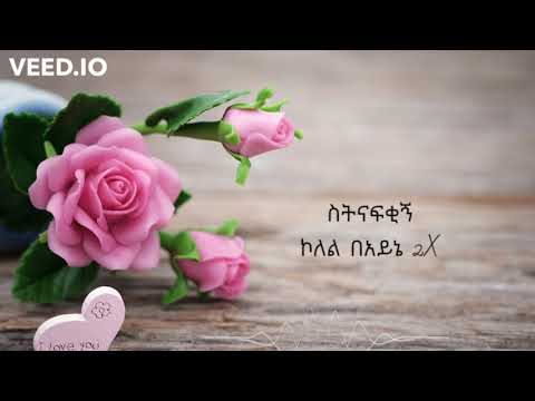 Wendi Mak - Sheb Arga  ሸብ አርጋ - Lyrics music